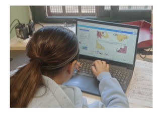 CEDIS Team Finalised Piloting Sections